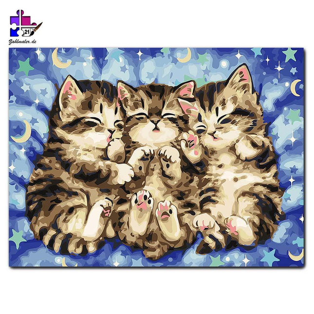 Die drei kleinen Kätzchen schlafend | Malen nach Zahlen-Zahlmaler.de