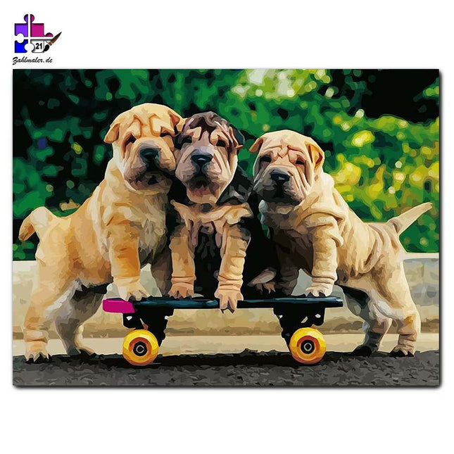 Die drei Welpen mit dem Skateboard | Malen nach Zahlen-Zahlmaler.de