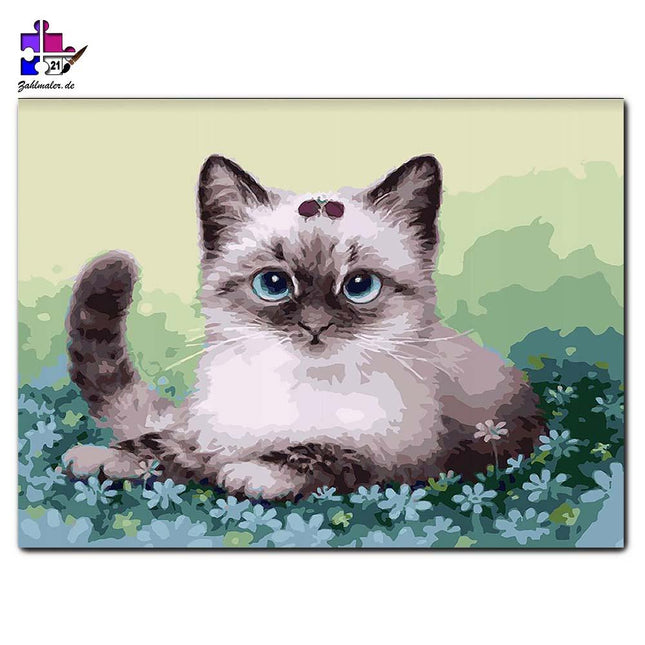 Die kleine Miezekatze in den blauen Blumen | Malen nach Zahlen-Zahlmaler.de