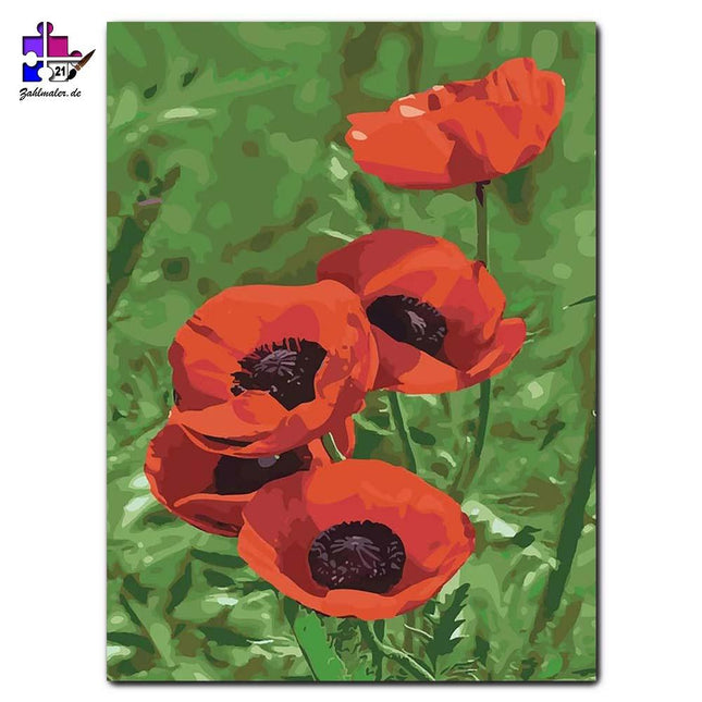 Die Mohnblumen | Malen nach Zahlen-Zahlmaler.de