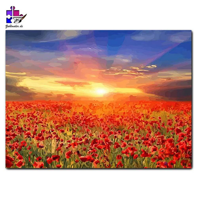 Die Mohnblumenwiese bei Sonnenuntergang | Malen nach Zahlen-Zahlmaler.de