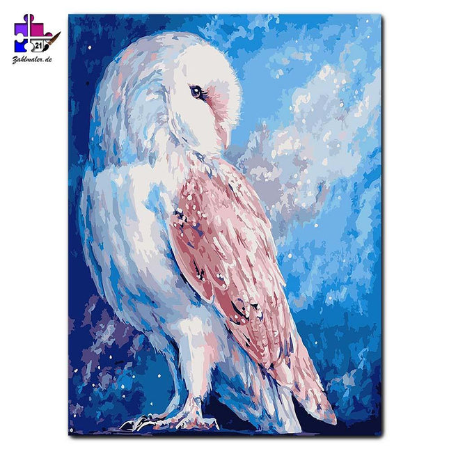 Die Schnee-Eule in der Nacht | Malen nach Zahlen-Zahlmaler.de