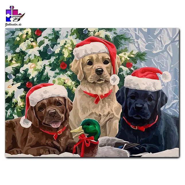 Die Weihnachtswelpen und die Ente | Malen nach Zahlen-Zahlmaler.de