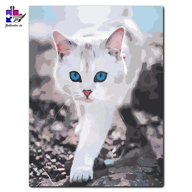 Die weiße Katze mit blauen Augen 2 | Malen nach Zahlen-Zahlmaler.de