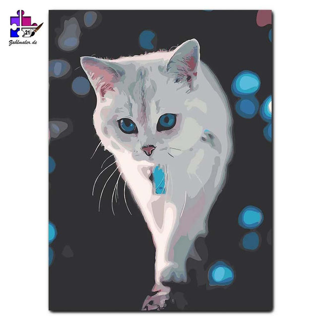 Die weiße Katze mit blauen Augen | Malen nach Zahlen-Zahlmaler.de
