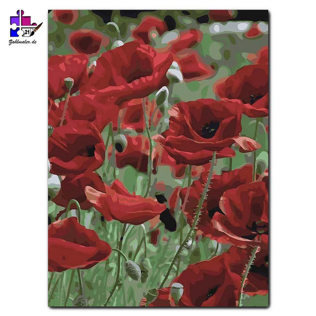 Die Wiese voller Mohnblumen | Malen nach Zahlen-Zahlmaler.de