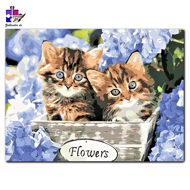 Die zwei kleinen Kätzchen im Blumenkorb | Malen nach Zahlen-Zahlmaler.de