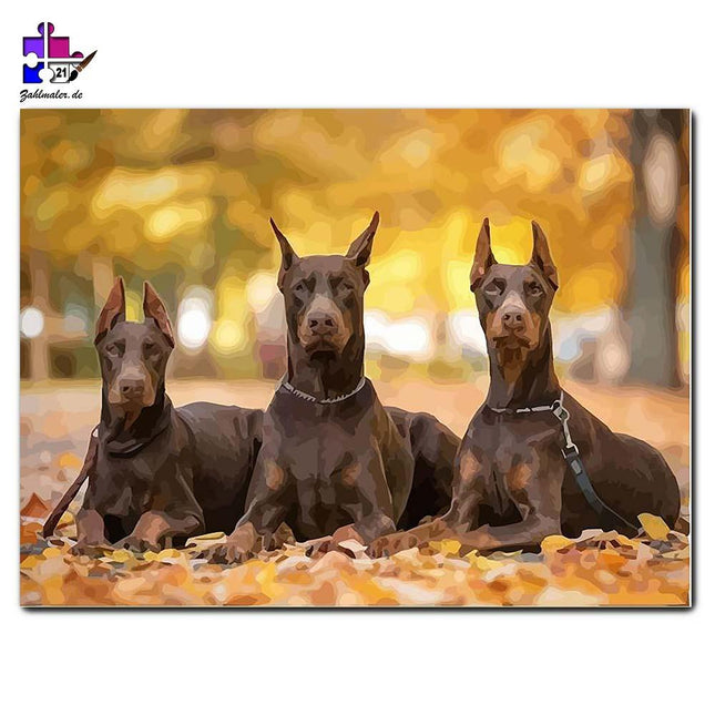 Dobbermänner im Batman-Look - eine Herbstkollage | Malen nach Zahlen-Zahlmaler.de