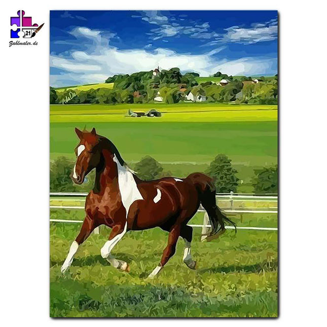 Ein Pferd in braun weißem Kostüm | Malen nach Zahlen-Zahlmaler.de