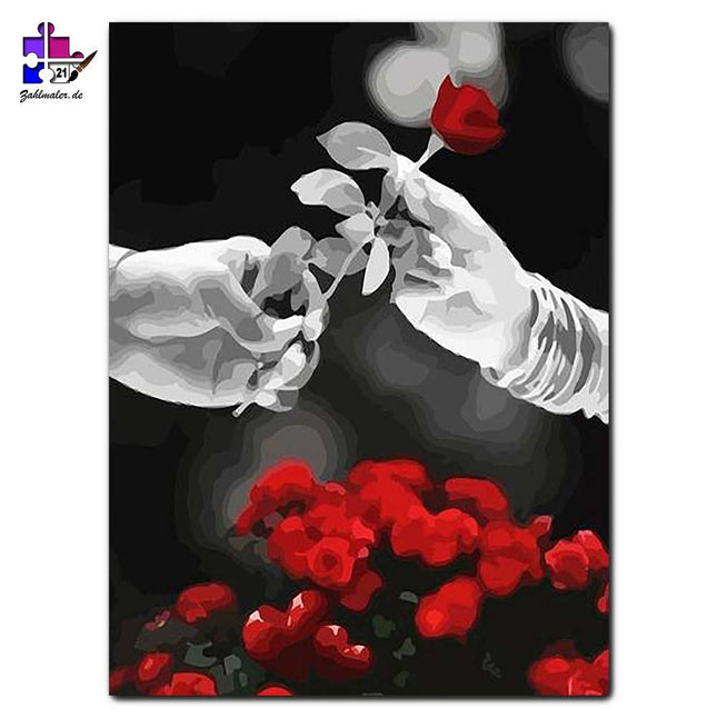 Einzige rote Rose als Geschenk - schwarz-weiß | Malen nach Zahlen-Zahlmaler.de