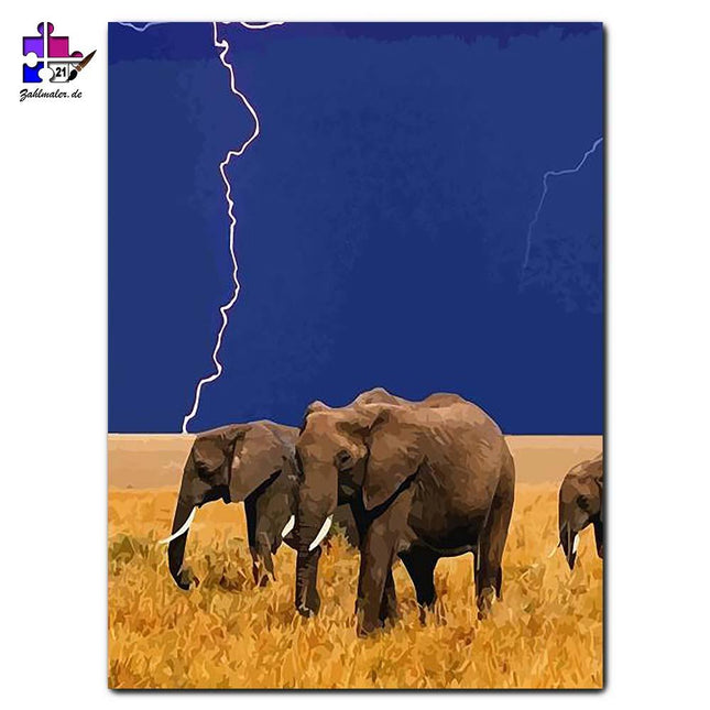 Elefantenmarsch bei Donner in der Sahara | Malen nach Zahlen-Zahlmaler.de