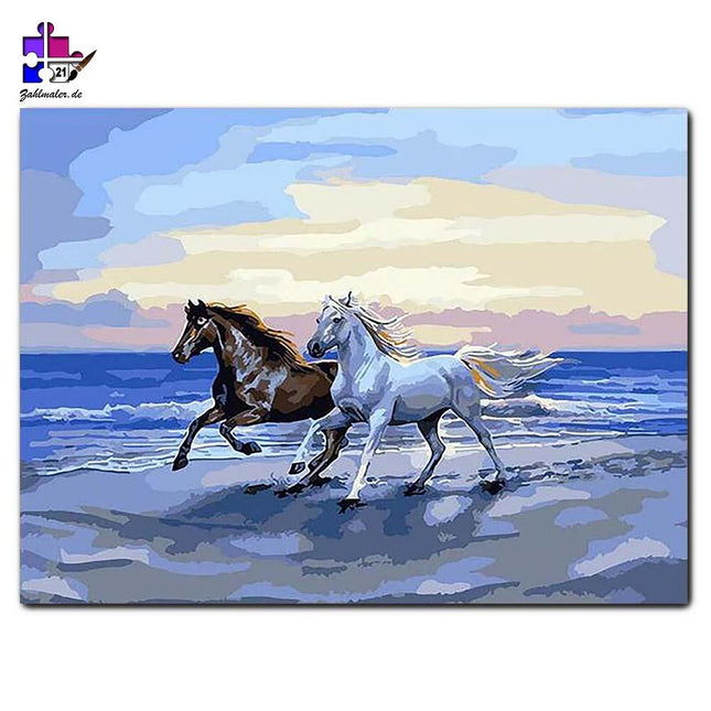 Galoppierendes Pferdepaar am Meer | Malen nach Zahlen-Zahlmaler.de