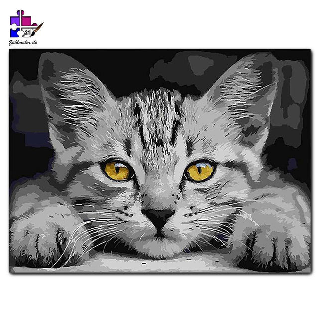 Gelbe Katzenaugen - schwarz-weiß | Malen nach Zahlen-Zahlmaler.de