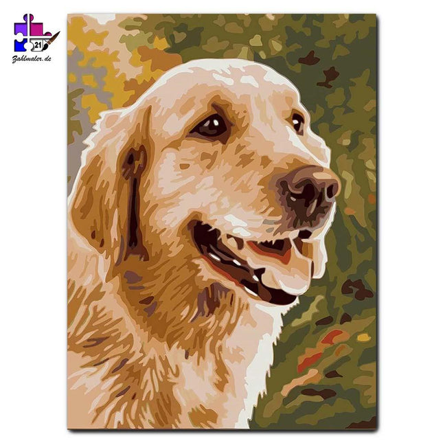 Glücklicher Golden Retriever | Malen nach Zahlen-Zahlmaler.de