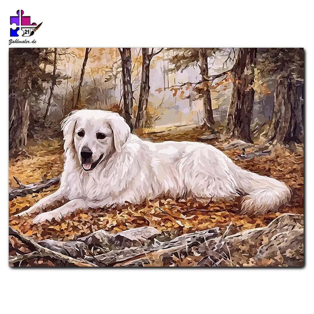 Golden Retriever im herbstlichen Wald | Malen nach Zahlen-Zahlmaler.de