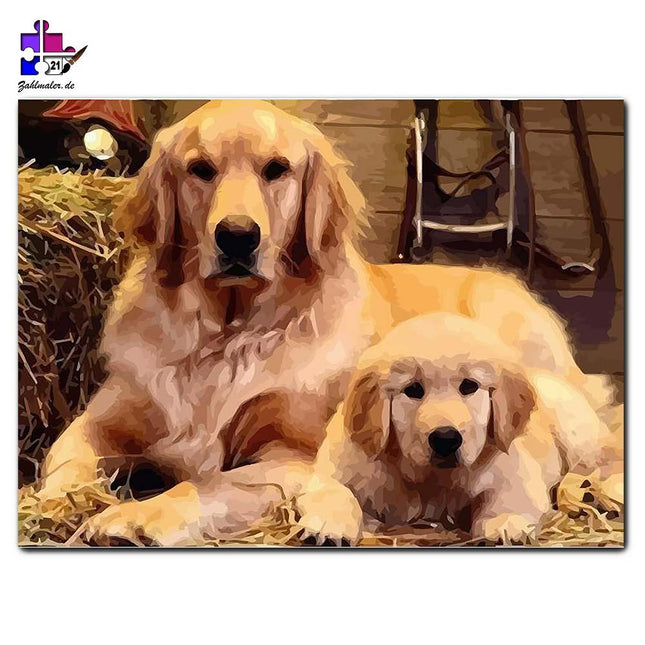 Goldies im Heu - Stillleben im Stall | Malen nach Zahlen-Zahlmaler.de
