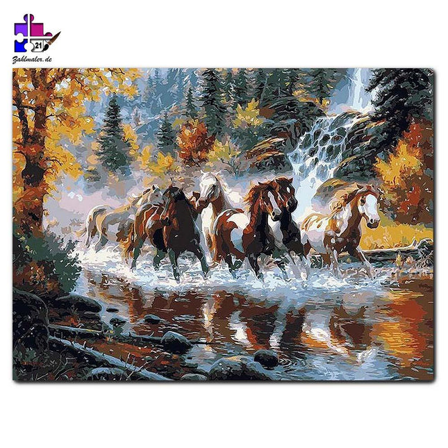 Hengste im herbstlichen Wald im Flussbett-Ritt | Malen nach Zahlen-Zahlmaler.de