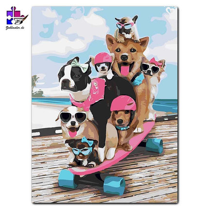Hunde auf Skateboard | Malen nach Zahlen-Zahlmaler.de