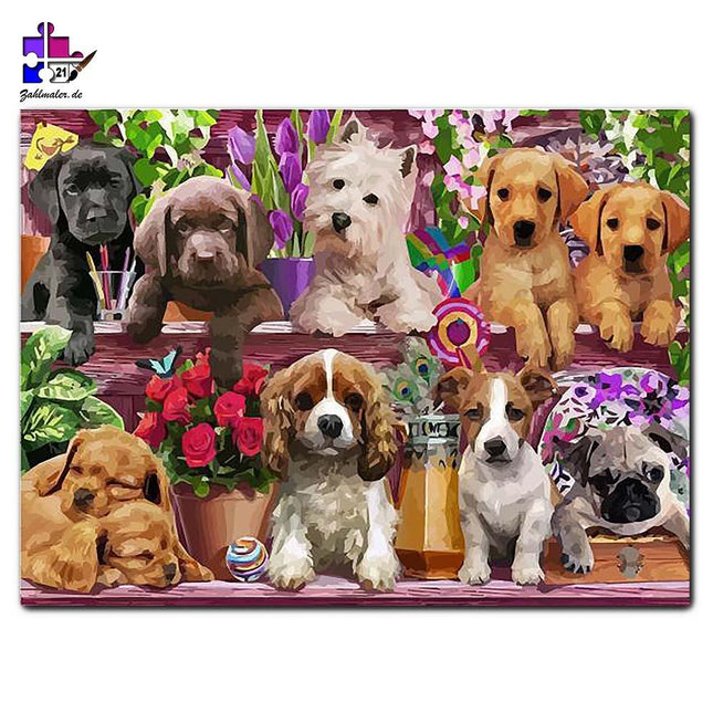 Hundewelpen zwischen schönen Blumen | Malen nach Zahlen-Zahlmaler.de