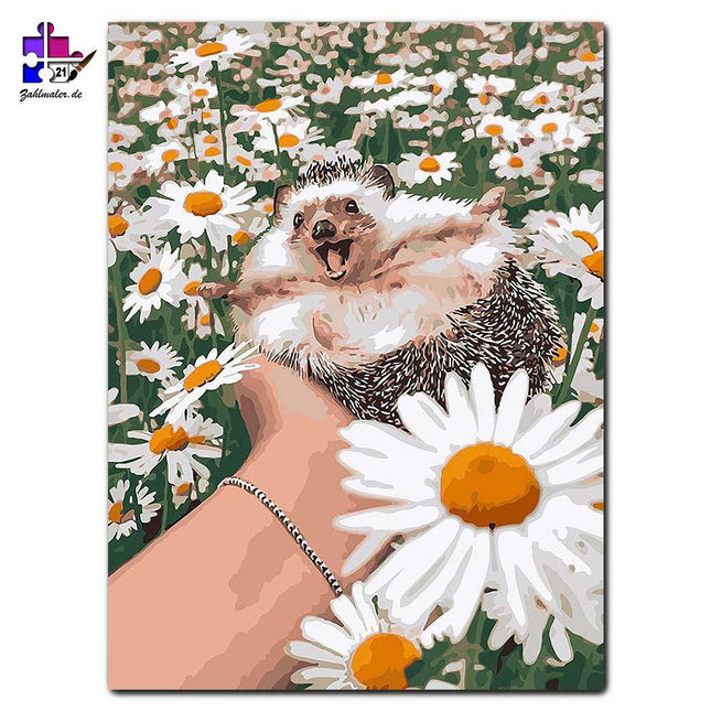 Igel Baby im Margaretenfeld | Malen nach Zahlen-Zahlmaler.de