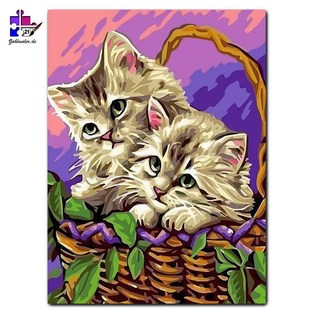 Katzenbabys im Korb | Malen nach Zahlen-Zahlmaler.de