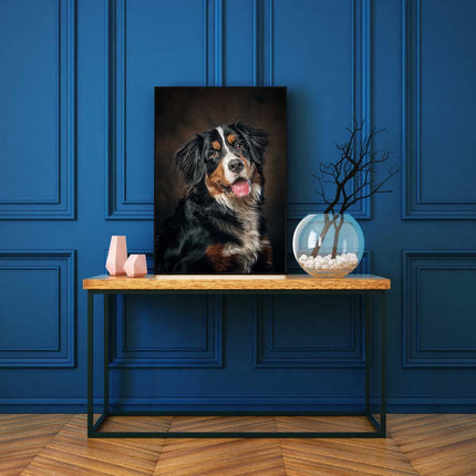 Lächelnder Border Collie Mischling | Malen nach Zahlen-Zahlmaler.de