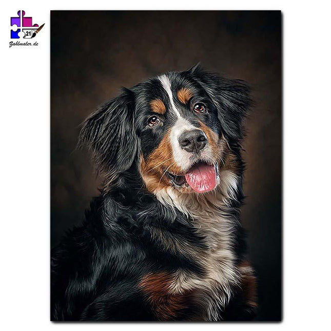 Lächelnder Border Collie Mischling | Malen nach Zahlen-Zahlmaler.de