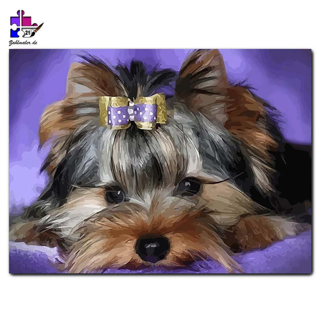 Mini Hund auf Lila | Malen nach Zahlen-Zahlmaler.de