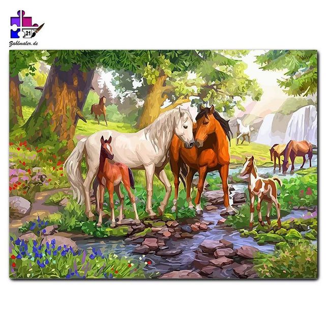 Pferdefamilie vor dem Wasserfall | Malen nach Zahlen-Zahlmaler.de