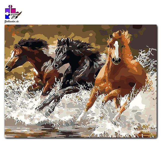 Pferdegalopp durch den Fluss | Malen nach Zahlen-Zahlmaler.de