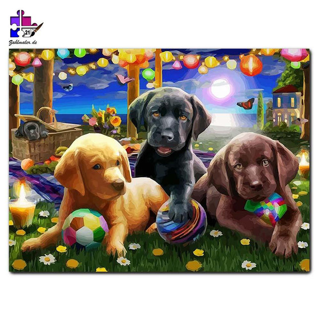 Puppies im Garten bei Vollmond | Malen nach Zahlen-Zahlmaler.de