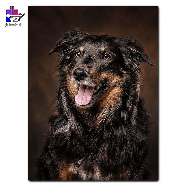 Retriever Border Collie  Hunde-Portrait | Malen nach Zahlen-Zahlmaler.de