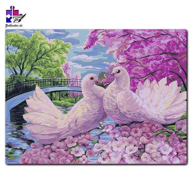 Romantische Tauben in Rosa | Malen nach Zahlen-Zahlmaler.de