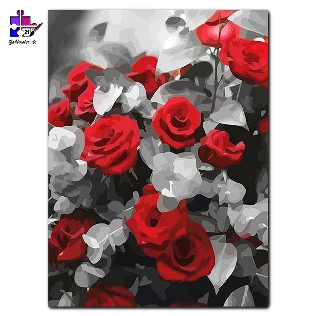 Rosenbouquet in rot-weiß-schwarz | Malen nach Zahlen-Zahlmaler.de