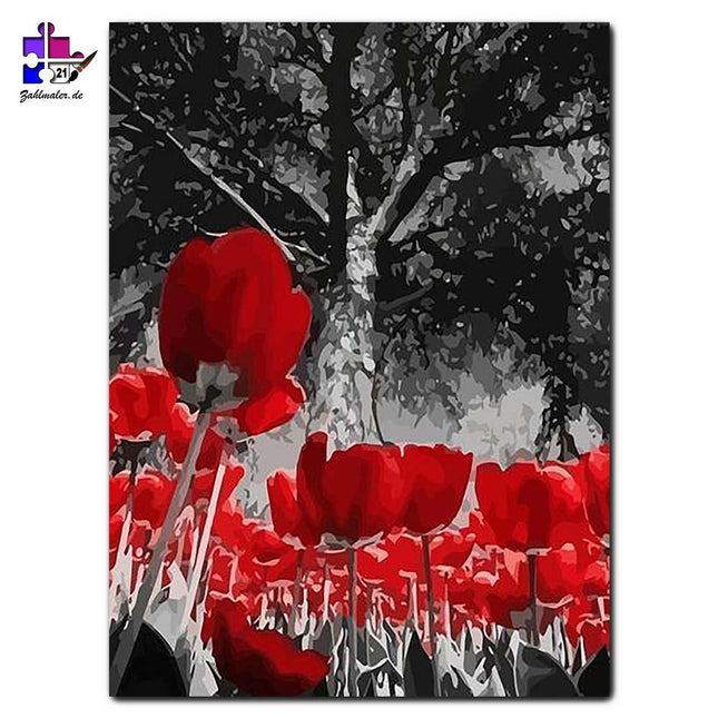 Rote Tulpen vor schwarz-weiß Baumstamm | Malen nach Zahlen-Zahlmaler.de