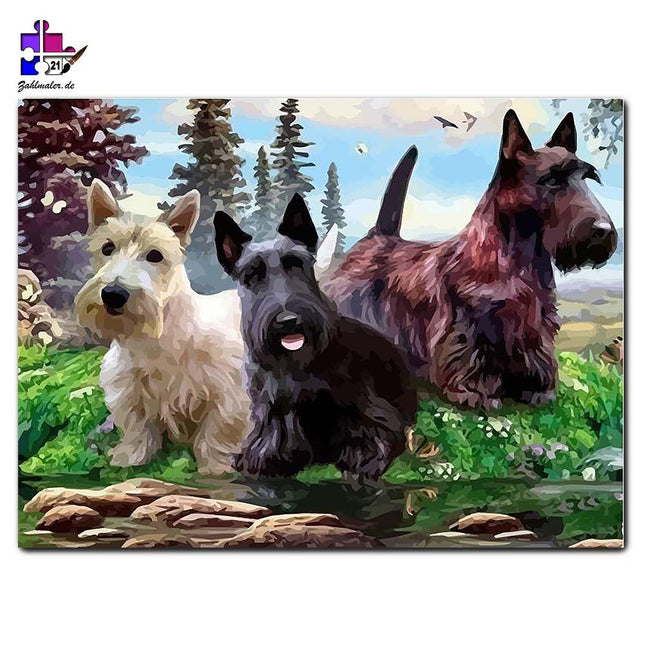Schnauzer in drei Farben vor dem Fluss | Malen nach Zahlen-Zahlmaler.de