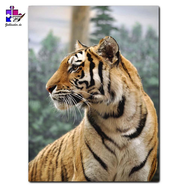 Sibirische Raubkatze | Malen nach Zahlen-Zahlmaler.de