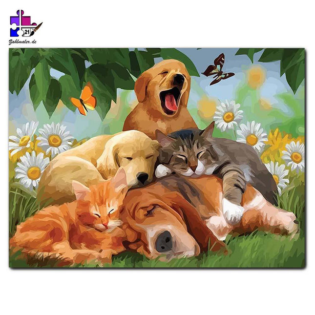 Tierliebe auf der Wiese | Malen nach Zahlen-Zahlmaler.de