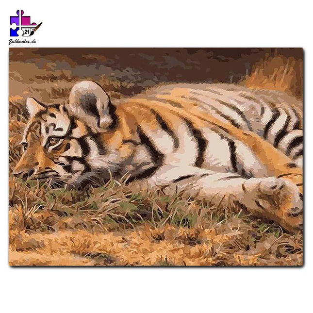 Tigerruhe in der Sahara | Malen nach Zahlen-Zahlmaler.de
