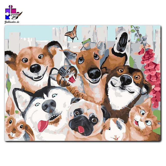 Verrückte Haustiere in einem Bild | Malen nach Zahlen-Zahlmaler.de