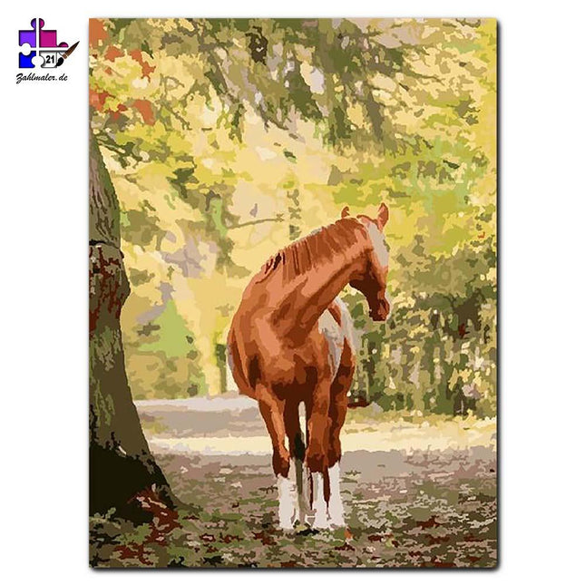 Was ist denn hinter dem Pferd los | Malen nach Zahlen-Zahlmaler.de