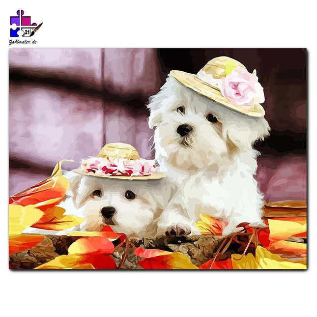 Weiße Hundeladies mit buntem Hut | Malen nach Zahlen-Zahlmaler.de
