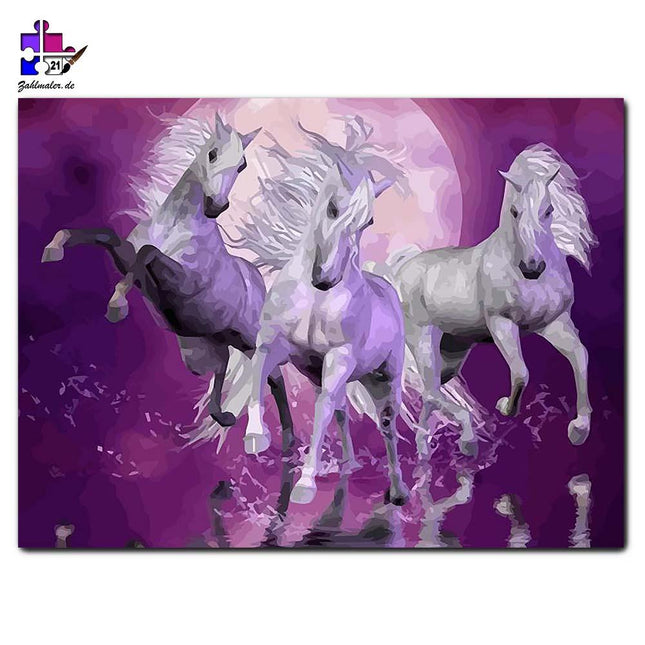 Weiße Pferde vor dem Mond - ein Trio in Lilla-Tönen | Malen nach Zahlen-Zahlmaler.de