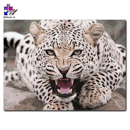 Weißer Leopard - stilisiert | Malen nach Zahlen-Zahlmaler.de
