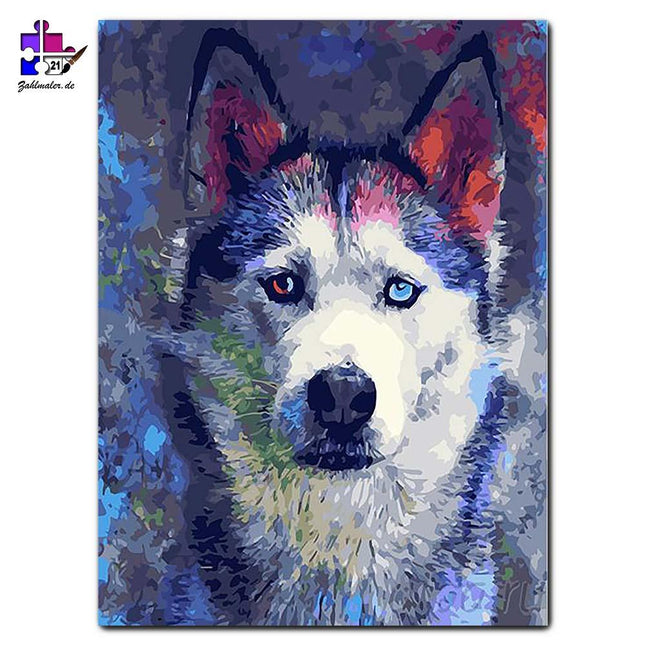 Wolf mit rot-blauen Augen - Powder Farbspritzer | Malen nach Zahlen-Zahlmaler.de