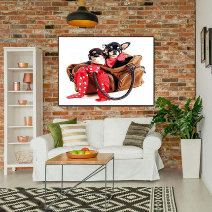 Zwei kleine Chihuahuas in der Ledertasche | Malen nach Zahlen-Zahlmaler.de