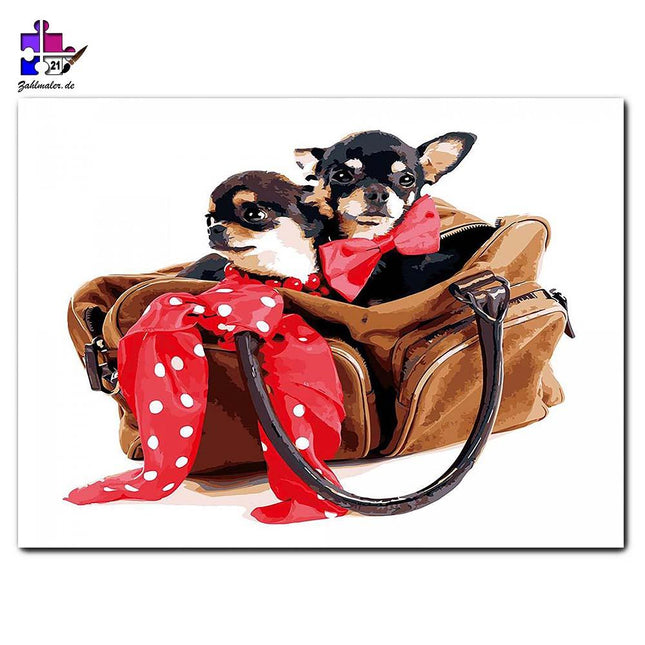 Zwei kleine Chihuahuas in der Ledertasche | Malen nach Zahlen-Zahlmaler.de