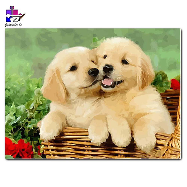 Zwei weiße Welpen | Malen nach Zahlen-Zahlmaler.de