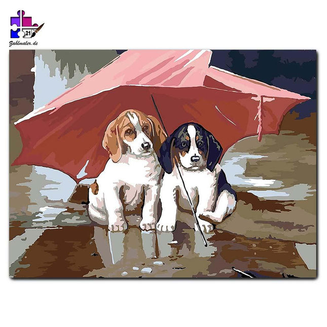 Zwei Welpen im Regen | Malen nach Zahlen-Zahlmaler.de