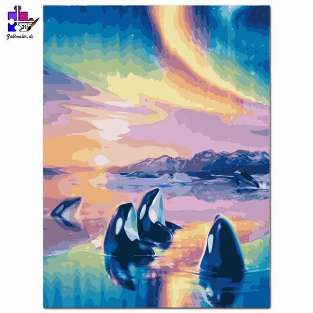 Orcas im Polarlicht | Malen nach Zahlen-Zahlmaler.de